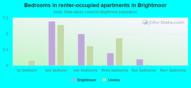 Bedrooms in renter-occupied apartments in Brightmoor