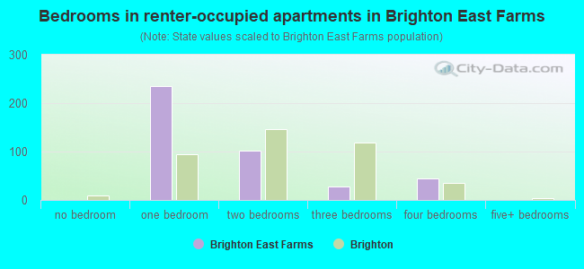 Bedrooms in renter-occupied apartments in Brighton East Farms