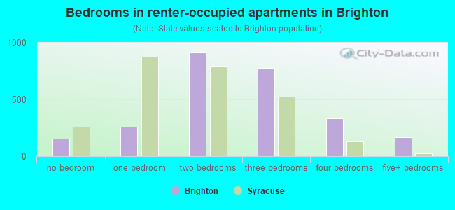 Bedrooms in renter-occupied apartments in Brighton
