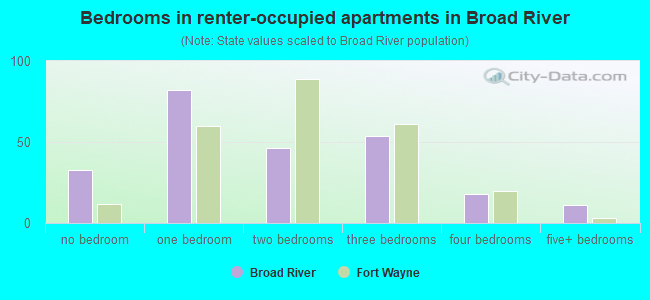 Bedrooms in renter-occupied apartments in Broad River