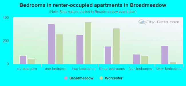 Bedrooms in renter-occupied apartments in Broadmeadow