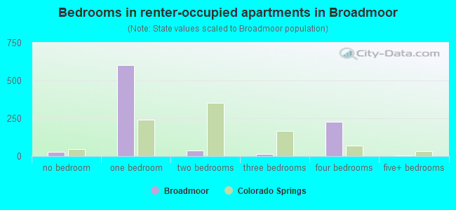 Bedrooms in renter-occupied apartments in Broadmoor