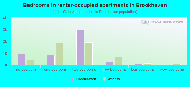 Bedrooms in renter-occupied apartments in Brookhaven