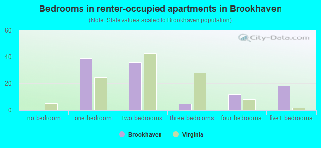 Bedrooms in renter-occupied apartments in Brookhaven