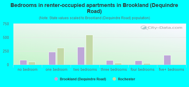 Bedrooms in renter-occupied apartments in Brookland (Dequindre Road)