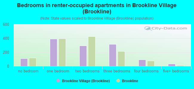 Bedrooms in renter-occupied apartments in Brookline Village (Brookline)