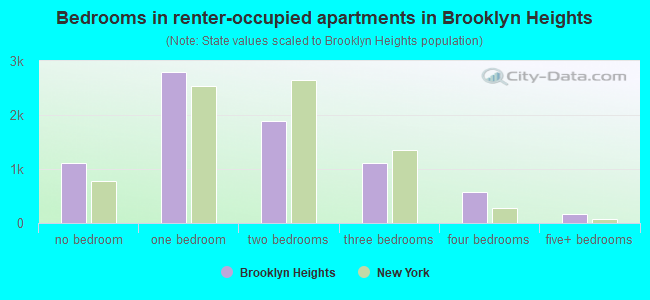 Bedrooms in renter-occupied apartments in Brooklyn Heights
