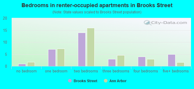 Bedrooms in renter-occupied apartments in Brooks Street