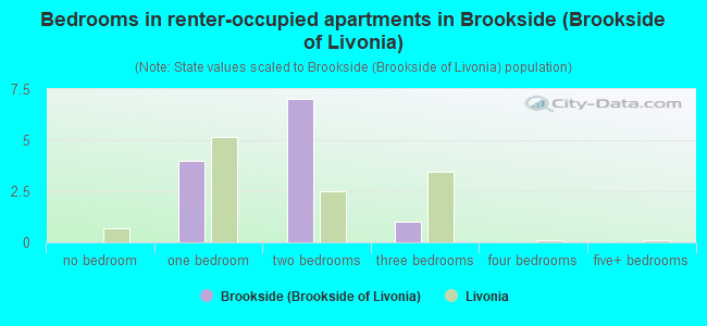 Bedrooms in renter-occupied apartments in Brookside (Brookside of Livonia)