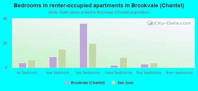 Bedrooms in renter-occupied apartments in Brookvale (Chantel)