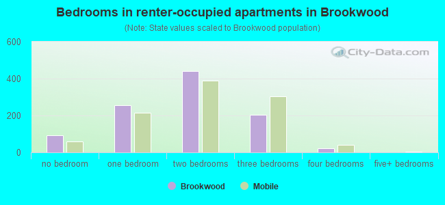 Bedrooms in renter-occupied apartments in Brookwood