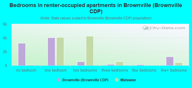 Bedrooms in renter-occupied apartments in Brownville (Brownville CDP)