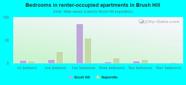 Bedrooms in renter-occupied apartments in Brush Hill