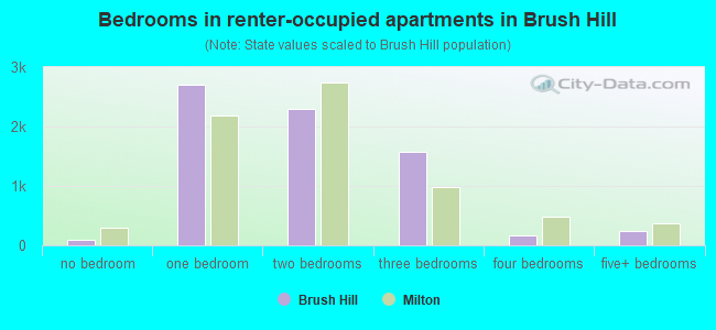 Bedrooms in renter-occupied apartments in Brush Hill