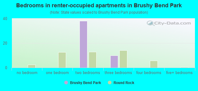 Bedrooms in renter-occupied apartments in Brushy Bend Park