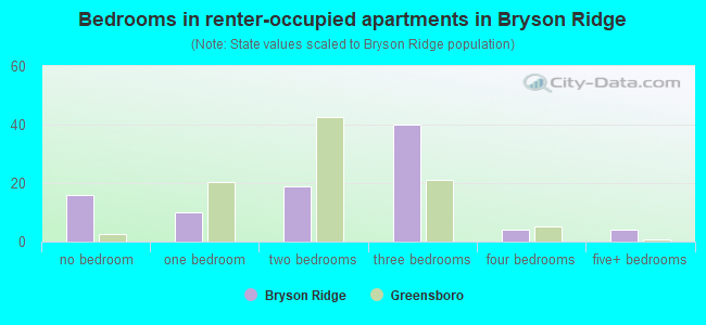 Bedrooms in renter-occupied apartments in Bryson Ridge