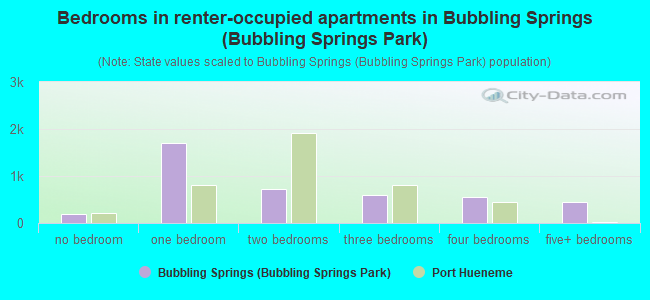 Bedrooms in renter-occupied apartments in Bubbling Springs (Bubbling Springs Park)
