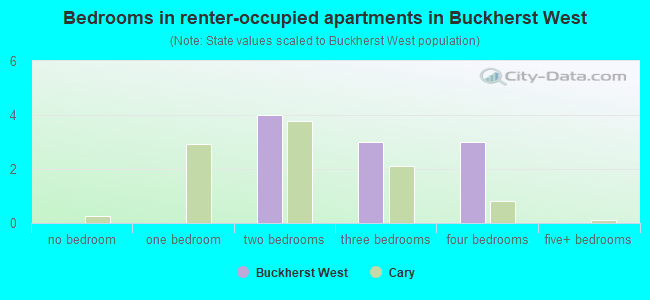 Bedrooms in renter-occupied apartments in Buckherst West