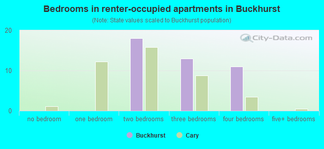 Bedrooms in renter-occupied apartments in Buckhurst