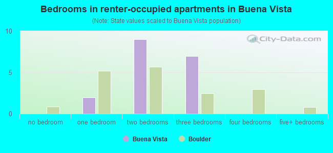 Bedrooms in renter-occupied apartments in Buena Vista