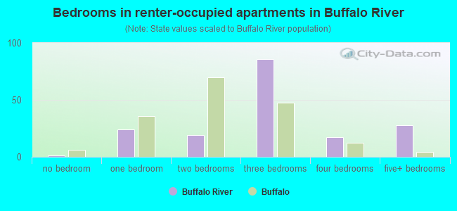 Bedrooms in renter-occupied apartments in Buffalo River