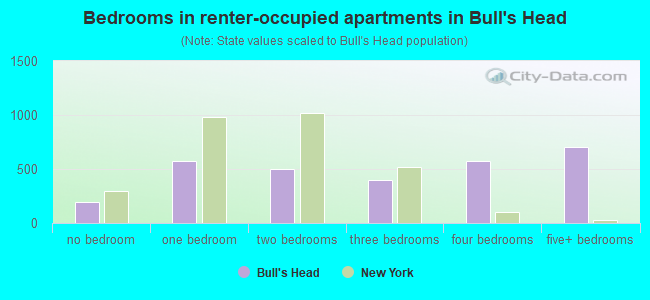 Bedrooms in renter-occupied apartments in Bull's Head