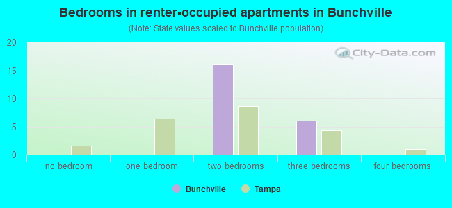 Bedrooms in renter-occupied apartments in Bunchville