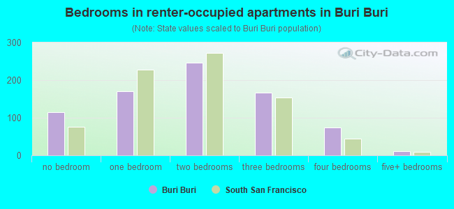 Bedrooms in renter-occupied apartments in Buri Buri