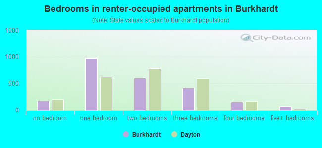 Bedrooms in renter-occupied apartments in Burkhardt