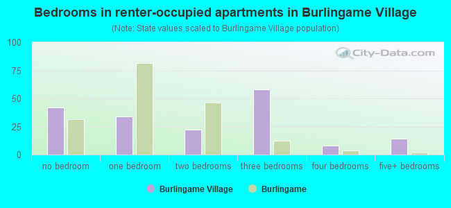 Bedrooms in renter-occupied apartments in Burlingame Village