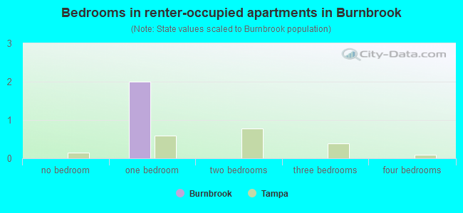 Bedrooms in renter-occupied apartments in Burnbrook
