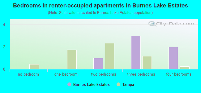 Bedrooms in renter-occupied apartments in Burnes Lake Estates