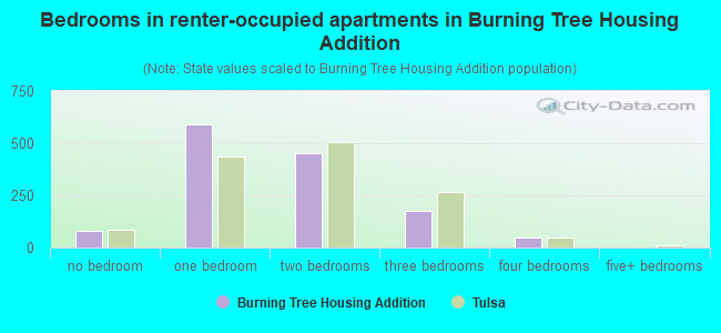 Bedrooms in renter-occupied apartments in Burning Tree Housing Addition