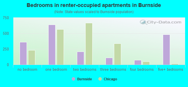 Bedrooms in renter-occupied apartments in Burnside