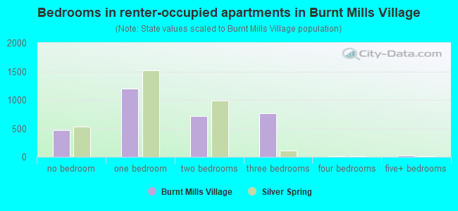 Bedrooms in renter-occupied apartments in Burnt Mills Village