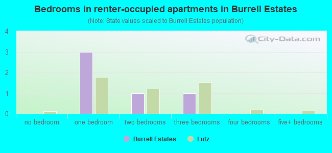 Bedrooms in renter-occupied apartments in Burrell Estates