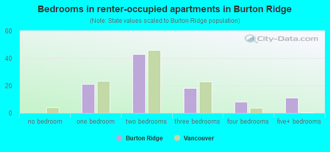 Bedrooms in renter-occupied apartments in Burton Ridge