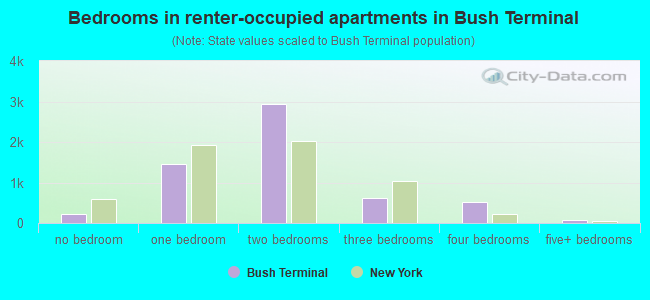 Bedrooms in renter-occupied apartments in Bush Terminal