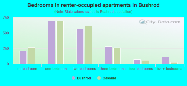 Bedrooms in renter-occupied apartments in Bushrod