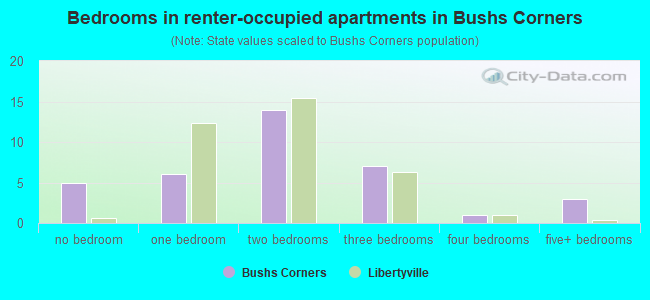 Bedrooms in renter-occupied apartments in Bushs Corners