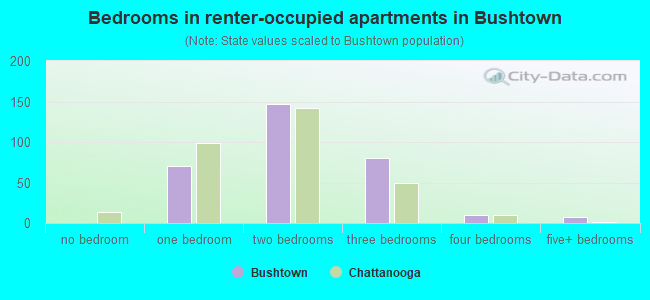 Bedrooms in renter-occupied apartments in Bushtown