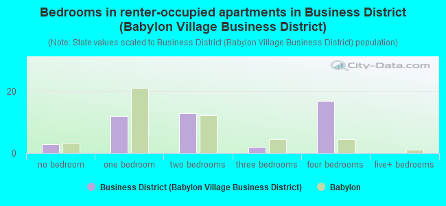 Bedrooms in renter-occupied apartments in Business District (Babylon Village Business District)