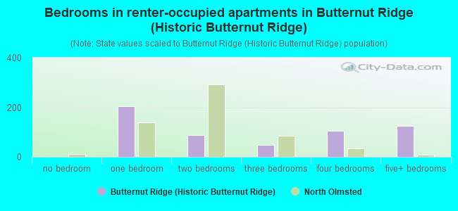 Bedrooms in renter-occupied apartments in Butternut Ridge (Historic Butternut Ridge)