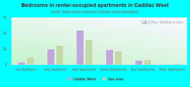 Bedrooms in renter-occupied apartments in Cadillac West