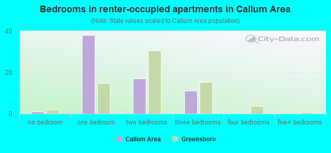 Bedrooms in renter-occupied apartments in Callum Area