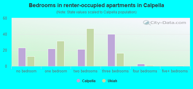 Bedrooms in renter-occupied apartments in Calpella