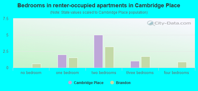 Bedrooms in renter-occupied apartments in Cambridge Place