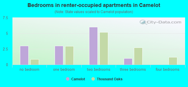 Bedrooms in renter-occupied apartments in Camelot