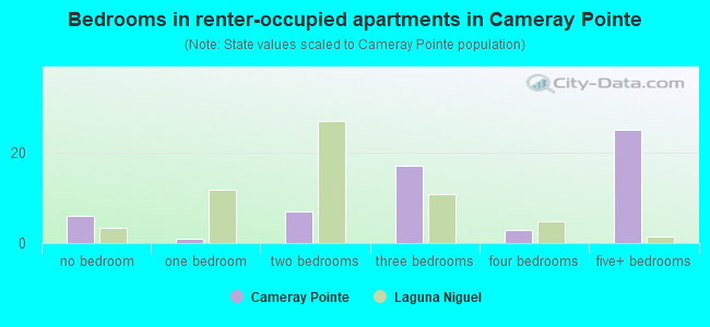 Bedrooms in renter-occupied apartments in Cameray Pointe