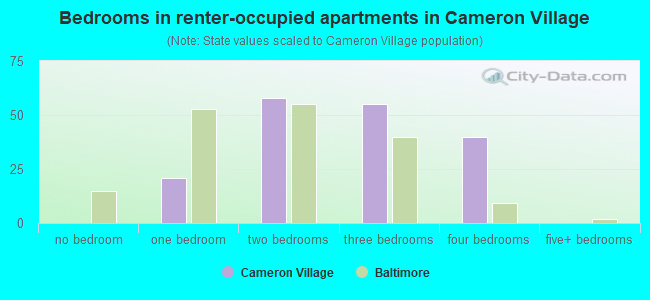 Bedrooms in renter-occupied apartments in Cameron Village